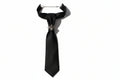 FLOWER TIE - JEMIE